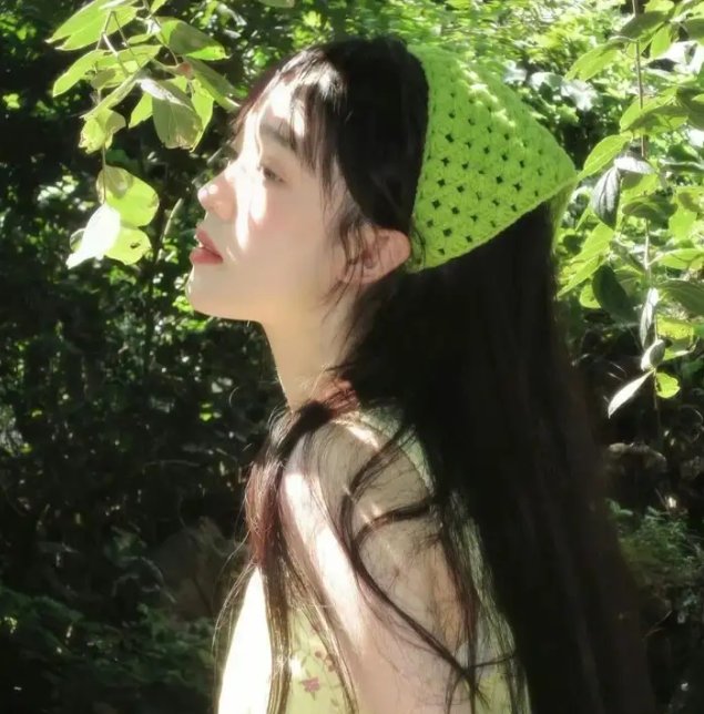 黄石公园之谜